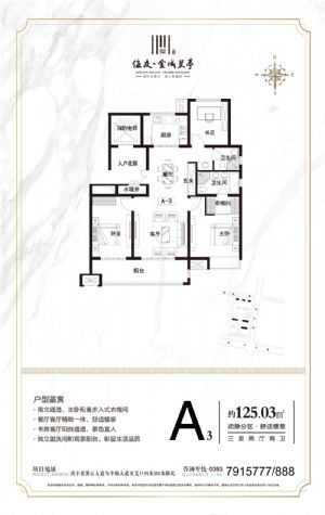 A3-三室二厅二卫一厨-户型图